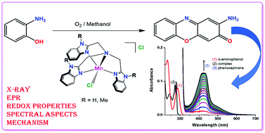 Graphical abstract: Design, synthesis, structural, spectral, and redox properties and phenoxazinone synthase activity of tripodal pentacoordinate Mn(ii) complexes with impressive turnover numbers
