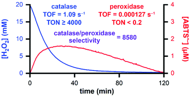 Graphical abstract: An organometallic catalase mimic with exceptional activity, H2O2 stability, and catalase/peroxidase selectivity