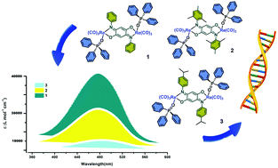 Graphical abstract: Multiple phenyl ring appended Re-based complexes for strong visible light absorption and DNA binding