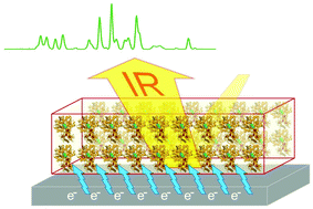 Graphical abstract: Electrochemical control of [FeFe]-hydrogenase single crystals reveals complex redox populations at the catalytic site