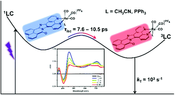 Graphical abstract: Accessing the triplet manifold of naphthalene benzimidazole–phenanthroline in rhenium(i) bichromophores