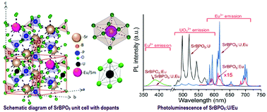 Graphical abstract: Influence of interstitial UO22+ doping on the valence control of Eu and energy transfer to substitutional Eu3+ and Sm3+ in SrBPO5