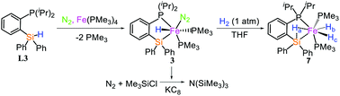 Graphical abstract: Synthesis of silyl iron dinitrogen complexes for activation of dihydrogen and catalytic silylation of dinitrogen