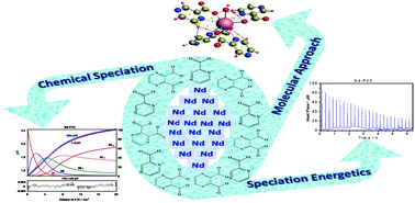 Graphical abstract: The aqueous interaction of neodymium with two omni existent biomoieties – a mechanistic understanding by experimental and theoretical studies