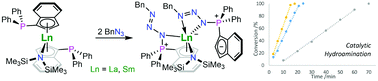 Graphical abstract: Phosphinoindenyl and phosphazidoindenyl complexes of lanthanum and samarium: synthesis, characterisation, and hydroamination catalysis