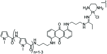 Graphical abstract: Platinum binding preferences dominate the binding of novel polyamide amidine anthraquinone platinum(ii) complexes to DNA