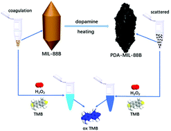 Graphical abstract: Enhancing the peroxidase-like activity of MIL-88B by ligand exchange with polydopamine