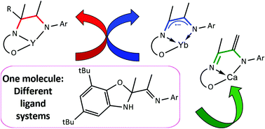 Graphical abstract: 2-Imino-2,3-dihydrobenzoxazole—a useful platform for designing rare- and alkaline earth complexes with variable di- and trianionic O,N,N, ligands