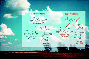 Graphical abstract: Photo-oxidation of pinic acid in the aqueous phase: a mechanistic investigation under acidic and basic pH conditions