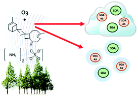 Graphical abstract: Hygroscopicity of internally mixed ammonium sulfate and secondary organic aerosol particles formed at low and high relative humidity