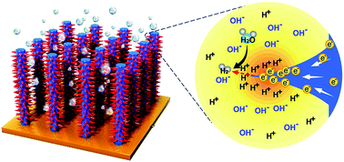 Graphical abstract: Proton selective adsorption on Pt–Ni nano-thorn array electrodes for superior hydrogen evolution activity