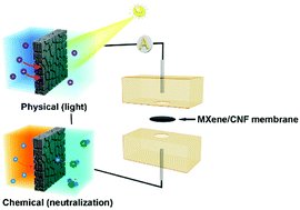 Graphical abstract: Synergy of light and acid–base reaction in energy conversion based on cellulose nanofiber intercalated titanium carbide composite nanofluidics
