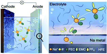 Graphical abstract: Knocking down the kinetic barriers towards fast-charging and low-temperature sodium metal batteries