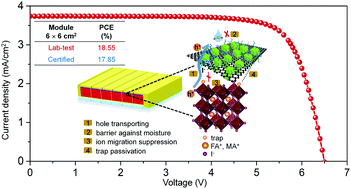 Graphical abstract: Improved performance and stability of perovskite solar modules by interface modulating with graphene oxide crosslinked CsPbBr3 quantum dots