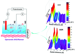 Graphical abstract: Dynamics and control of active sites in hierarchically nanostructured cobalt phosphide/chalcogenide-based electrocatalysts for water splitting