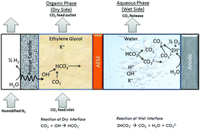Graphical abstract: Migration-assisted, moisture gradient process for ultrafast, continuous CO2 capture from dilute sources at ambient conditions