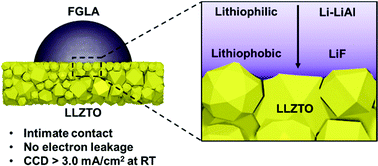 Graphical abstract: A self-regulated gradient interphase for dendrite-free solid-state Li batteries