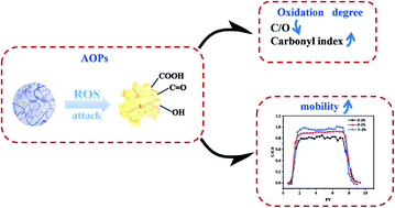 Graphical abstract: AOPs enhance the migration of polystyrene nanoparticles in saturated quartz sand