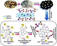 Graphical abstract: Biological calcium carbonate with a unique organic–inorganic composite structure to enhance biochar stability