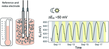 Graphical abstract: Temperature-induced diurnal redox potential in soil