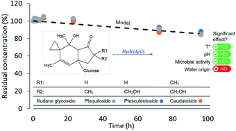 Graphical abstract: Occurrence and stability of ptesculentoside, caudatoside and ptaquiloside in surface waters