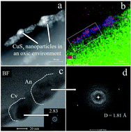 Graphical abstract: The role of organic colloids in the sequestration and mobilization of copper in smelter-impacted soils