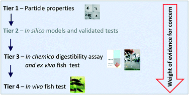 Graphical abstract: The bioaccumulation testing strategy for nanomaterials: correlations with particle properties and a meta-analysis of in vitro fish alternatives to in vivo fish tests