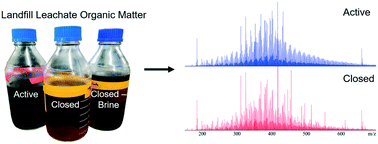 Graphical abstract: Characterization of landfill leachate molecular composition using ultrahigh resolution mass spectrometry