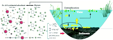 Graphical abstract: The adsorption of phytate onto an Fe–Al–La trimetal composite adsorbent: kinetics, isotherms, mechanism and implication