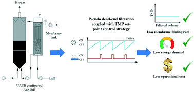 Graphical abstract: Membrane fouling amelioration through pseudo dead-end filtration coupled with transmembrane pressure (TMP) set-point control in an anaerobic membrane bioreactor for municipal wastewater treatment