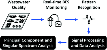 Graphical abstract: Statistical and microbial analysis of bio-electrochemical sensors used for carbon monitoring at water resource recovery facilities