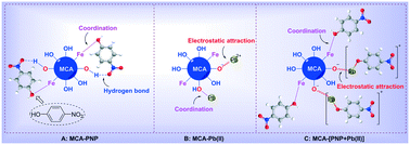 Graphical abstract: Adsorption and co-adsorption mechanisms of p-nitrophenol and Pb(ii) on magnetic carbon aerogel in water