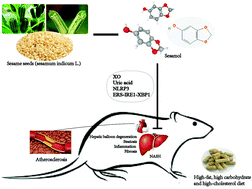 Graphical abstract: Sesamol supplementation alleviates nonalcoholic steatohepatitis and atherosclerosis in high-fat, high carbohydrate and high-cholesterol diet-fed rats