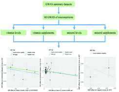 Graphical abstract: Are micronutrient levels and supplements causally associated with the risk of Alzheimer's disease? A two-sample Mendelian randomization analysis