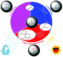 Graphical abstract: Catalyst-free photoinduced selective oxidative C(sp3)–C(sp3) bond cleavage in arylamines