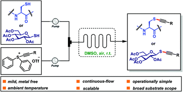 Graphical abstract: Continuous-flow processes for the S-alkynylation of cysteine-containing peptides and thioglycosides under catalyst-free, oxidant-free and mild conditions