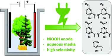 Graphical abstract: Comprehensive valorisation of technically relevant organosolv lignins via anodic oxidation