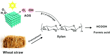 Graphical abstract: Confined synthesis of BiVO4 nanodot and ZnO cluster co-decorated 3DOM TiO2 for formic acid production from the xylan-based hemicellulose photorefinery