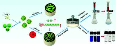 Graphical abstract: Fabrication of robust protein-based foams with multifunctionality by manipulating intermolecular interactions