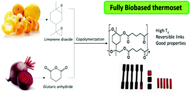 Graphical abstract: Limonene dioxide as a building block for 100% bio-based thermosets