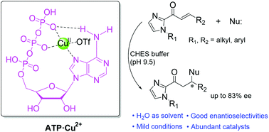 Graphical abstract: An ATP–Cu(ii) catalyst efficiently catalyzes enantioselective Michael reactions in water