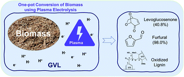 Graphical abstract: One-pot production of oxygenated monomers and selectively oxidized lignin from biomass based on plasma electrolysis
