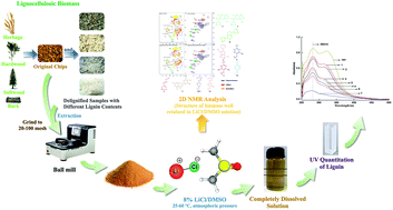 Graphical abstract: A spectroscopic method for quantitating lignin in lignocellulosic biomass based on the completely dissolved solution of biomass in LiCl/DMSO