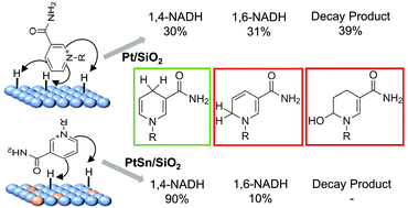 Graphical abstract: Directing the H2-driven selective regeneration of NADH via Sn-doped Pt/SiO2