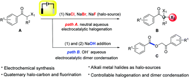Graphical abstract: Electrocatalytic synthesis of α,α-gem-dihalide ketones from α-mono-halide ketones and unexpected dimer condensation
