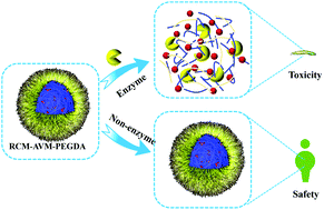 Graphical abstract: A design approach to eliminate the toxic effect of insecticides to ensure human safety