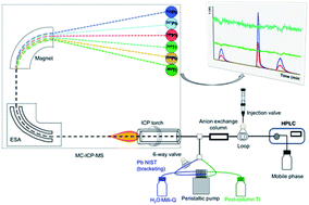 Graphical abstract: Direct determination of Pb isotope ratios in archaeological materials by coupling liquid chromatography to multicollector ICP-MS