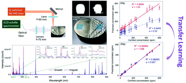Graphical abstract: Transfer learning improves the prediction performance of a LIBS model for metals with an irregular surface by effectively correcting the physical matrix effect