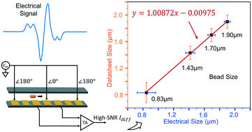 Graphical abstract: Submicron-precision particle characterization in microfluidic impedance cytometry with double differential electrodes