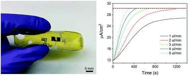 Graphical abstract: Printed microfluidic sweat sensing platform for cortisol and glucose detection